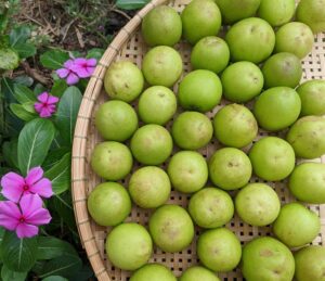 Táo rim ÔNG THẮNG – 350G – hũ