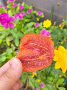 Hồng dẻo ÔNG THẮNG – 300G – gói