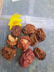 COMBO TÁO NHO (táo mộc 350g, nho khô 100g) 450G – gói