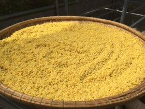 Bột kê nếp ÔNG THẮNG – 500G – gói