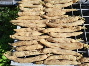Xá bấu (củ cải muối) Ông Thắng- 500g – gói