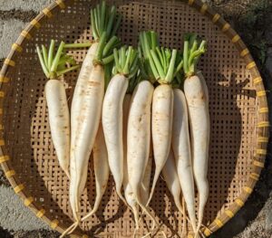 Củ cải khô ÔNG THẮNG – 100G – gói