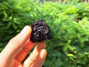 Táo đen ÔNG THẮNG – 250G – gói
