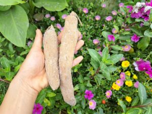 Xá bấu (củ cải muối) Ông Thắng- 500g – gói