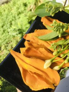 xoài dẻo ÔNG THẮNG – 1kg – gói